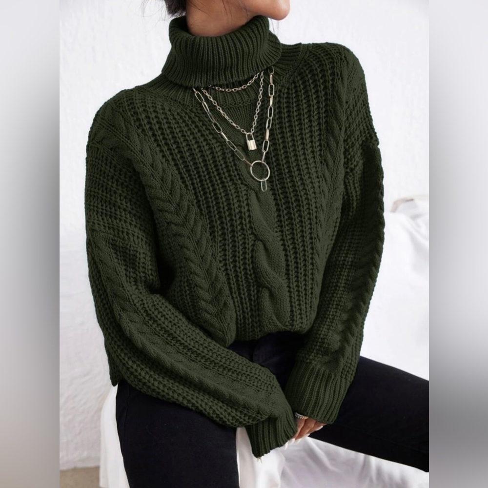 SHEIN EZwear Cable knit Turtle Neck Sweater